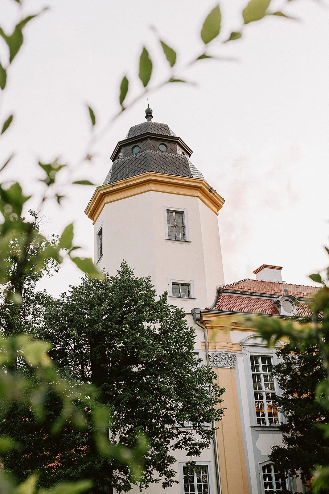 Der efeubewachsene Turm von Schloss Książ