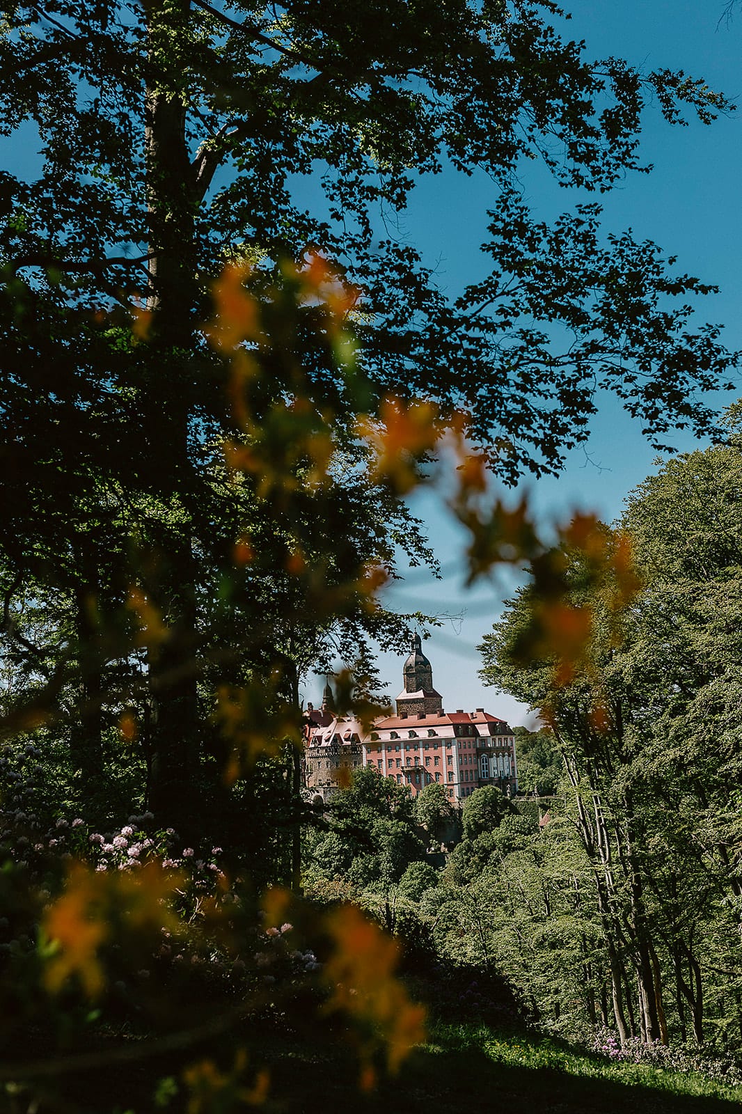 Schloss Książ zwischen Rhododendren